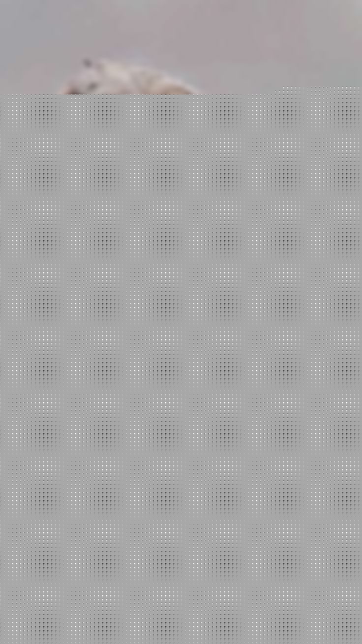 RESPIN606 – Dunia Game Online Terpercaya dan Fair