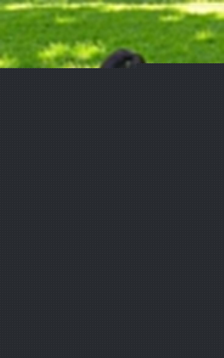 SIBAYAR – Platform Terpercaya, Bonus Setiap Hari, Buruan Masuk